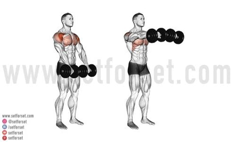 anterior deltoid exercises dumbbells