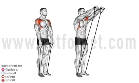 anterior deltoid resistance bands