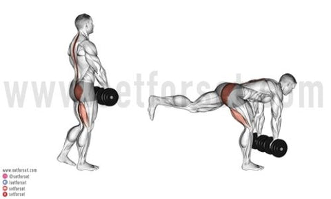 leg exercises dumbbells