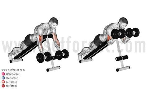 dumbbell spider curl