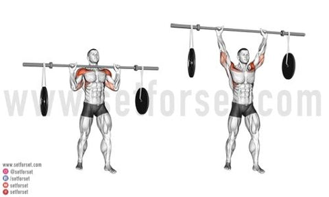 barbell exercises for front deltoids