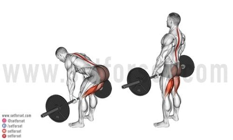 barbell hamstring exercises