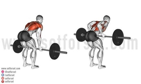 barbell lat exercises