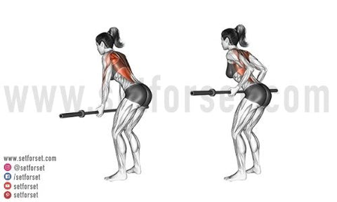 barbell mid back exercises