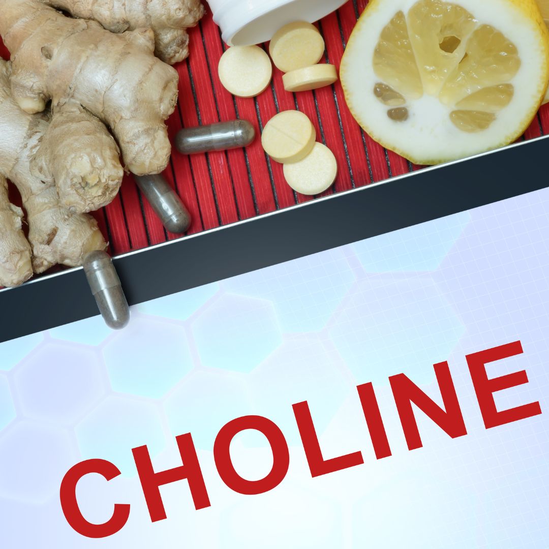 best choline supplement