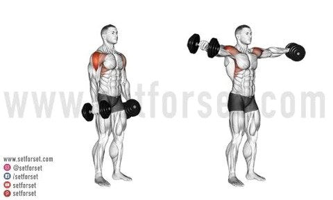 dumbbell lateral raise