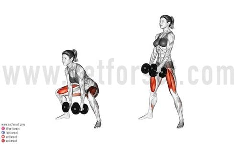 best dumbbell exercises for quads