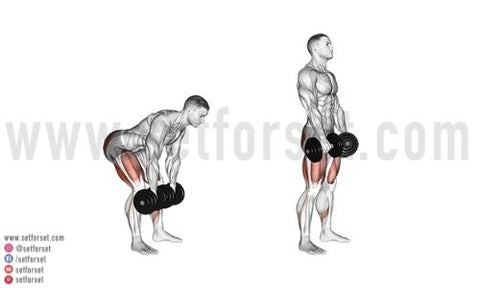 best dumbbell leg exercises