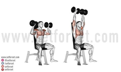 best exercise for front delt