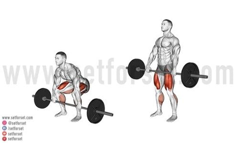 best exercises for hamstrings