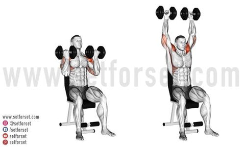 best exercises for lateral delts