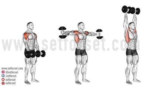 best exercises for middle delts