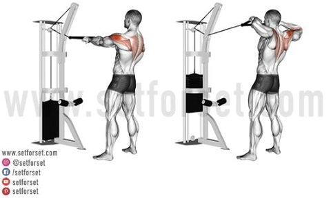 best exercises for upper back