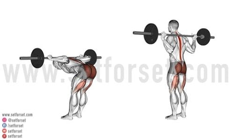 best hamstring exercises with barbell