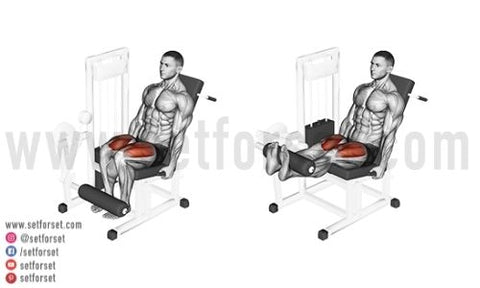 best quad exercises