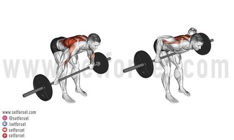 best upper back exercises with barbell