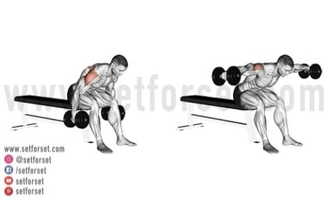 best upper back exercises with dumbbells