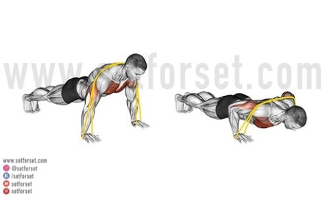 bodyweight upper chest exercises