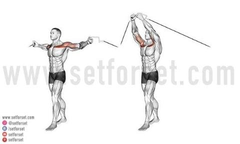 cable machine upper chest