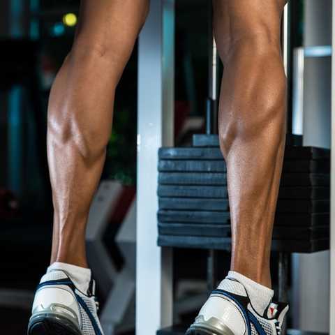 calf exercises