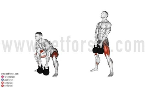 compound hamstring exercises