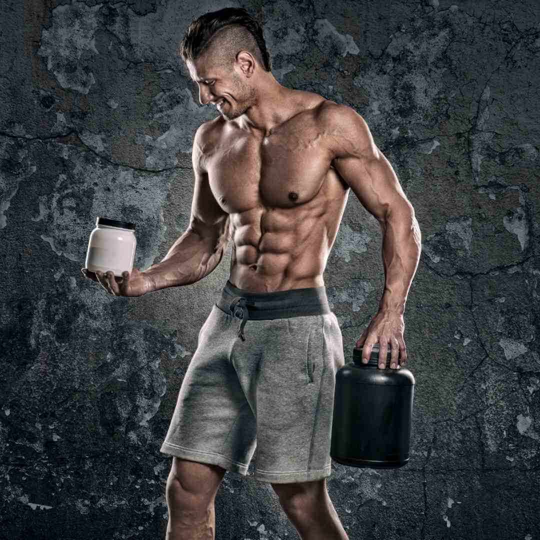 creatine vs protein