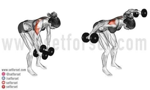 reverse dumbbell fly