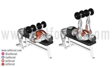 dumbbell exercises for upper chest