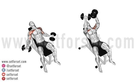 dumbbell hyght exercise