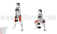 dumbbell leg workout at home