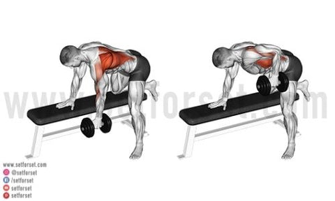 dumbbell middle back exercises