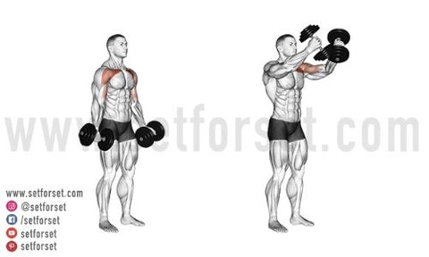 dumbbell standing chest exercises