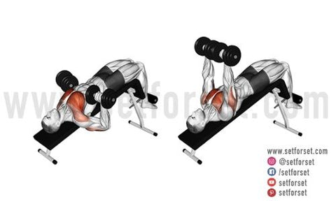 dumbbells chest