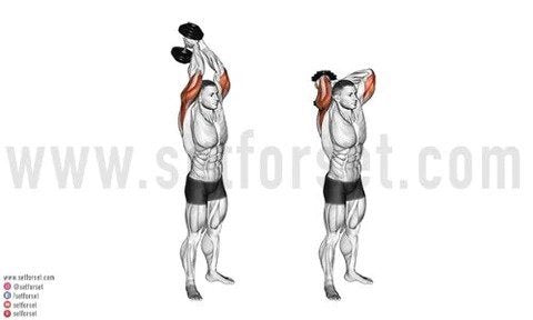 dumbbell overhead triceps extension