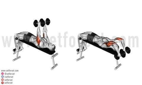 dumbbell skull crushers