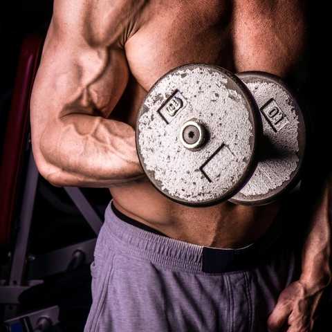 forearm curls with dumbbells