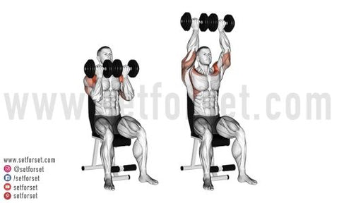 front deltoid dumbbell exercises