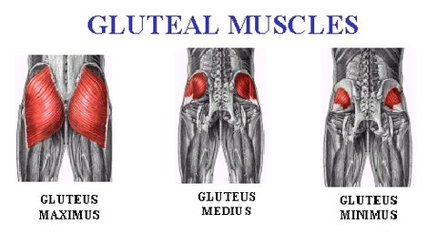 gluteal exercises