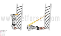 hamstring exercises at home