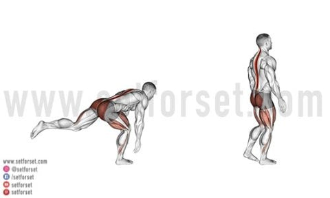 hamstring exercises for injury