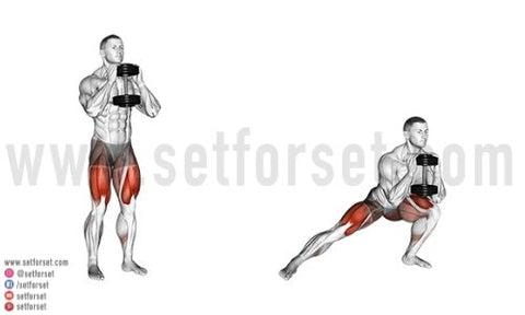 dumbbell leg workouts