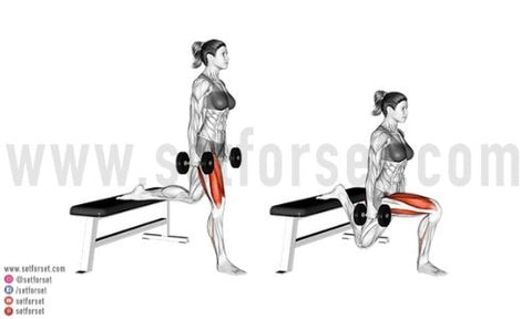 isolation exercises for quads