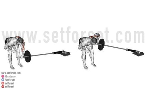 landmine exercise for upper back