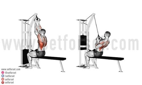 latissimus dorsi exercise