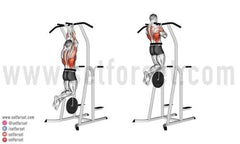 latissimus dorsi workout