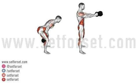 lower back weight exercises