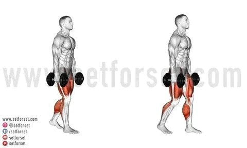 lower rectus abdominis exercises