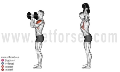 medial delt exercises