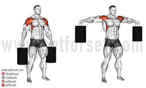 middle delt exercises