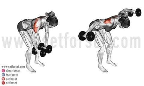 posterior deltoid workout with dumbbells